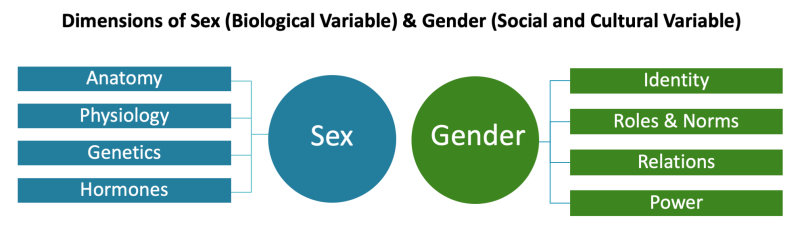 health services research gender